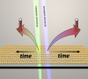 Ultrafast Dynamics of Nonthermal Carriers Following Photoexcitation of palsmonic nanostructure