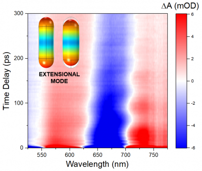Acoustic Vibration Modes of Gold–Silver Core–Shell Nanoparticles