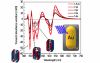 Ultrafast Transient Light Extinction by Bimetallic Nanoparticles