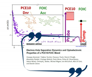 Hole Transfer Dynamics and Optoelectronic Properties in a PCE10:FOIC Blend