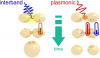 Efficient ultrafast melting of gold nanoparticles by interband excitation